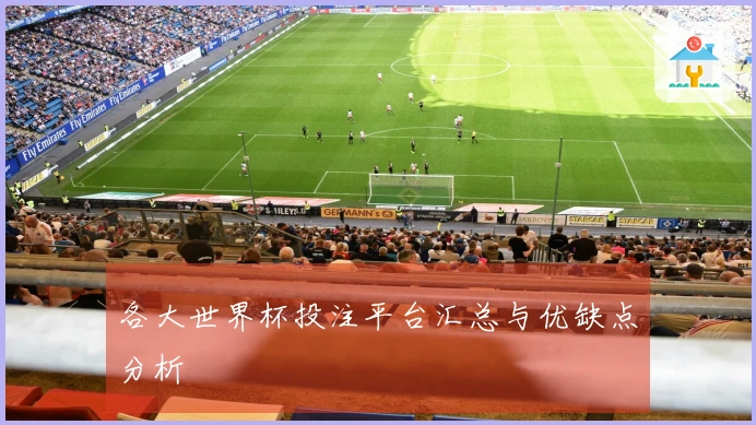 各大世界杯投注平台汇总与优缺点分析