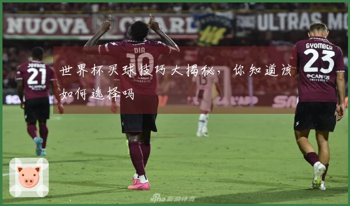 世界杯买球技巧大揭秘，你知道该如何选择吗