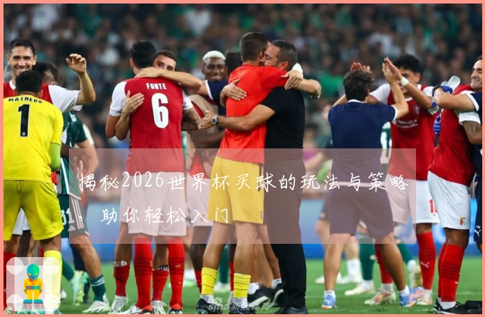 揭秘2026世界杯买球的玩法与策略，助你轻松入门