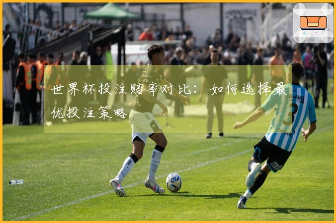 世界杯投注赔率对比：如何选择最优投注策略