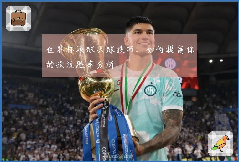 世界杯滚球买球技巧：如何提高你的投注胜率分析