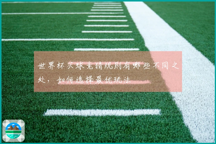 世界杯买球竞猜规则有哪些不同之处，如何选择最优玩法