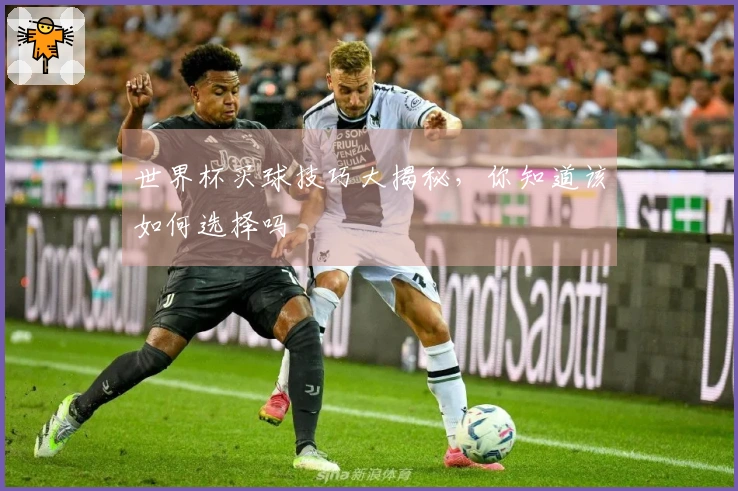 世界杯买球技巧大揭秘，你知道该如何选择吗