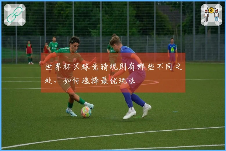 世界杯买球竞猜规则有哪些不同之处，如何选择最优玩法