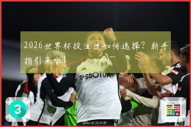 2026世界杯投注该如何选择？新手指引来啦！