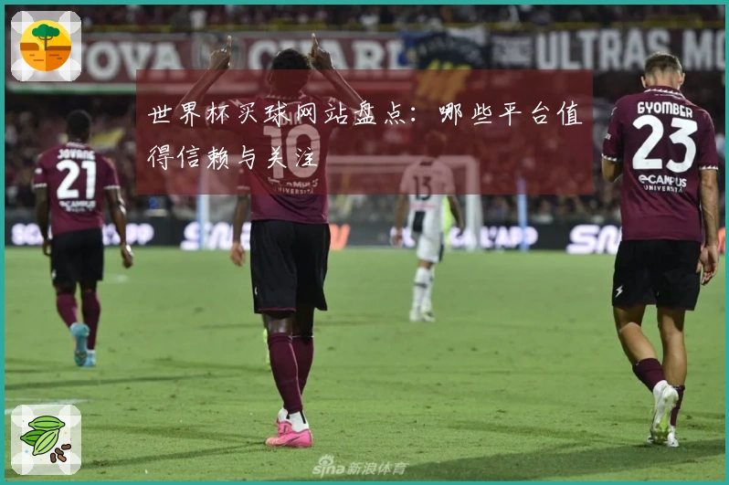 世界杯买球网站盘点：哪些平台值得信赖与关注