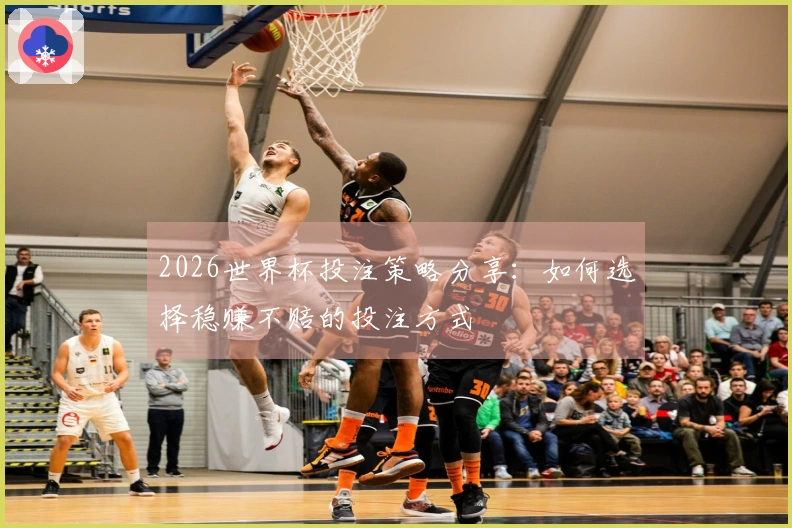 2026世界杯投注策略分享：如何选择稳赚不赔的投注方式